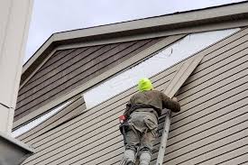 Historical Building Siding Restoration in Bellevue, WI